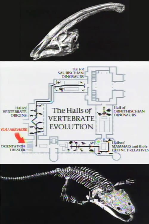 Постер: The Halls of Vertebrate Evolution