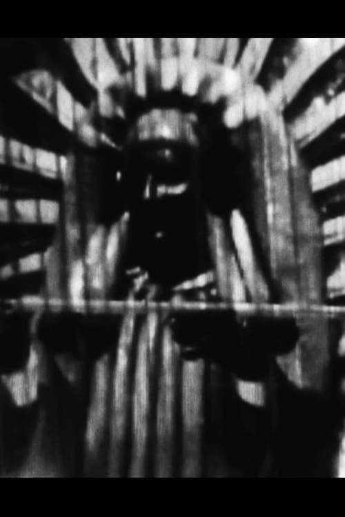 Постер: MORTEM IMAGINIS.