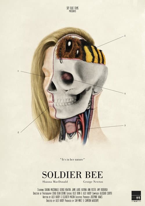 Постер: Soldier Bee