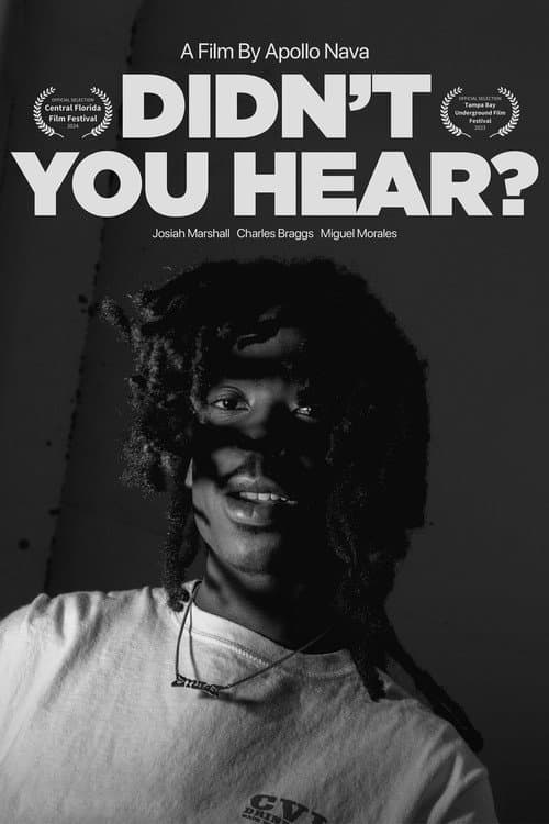 Постер: Didn't You Hear?