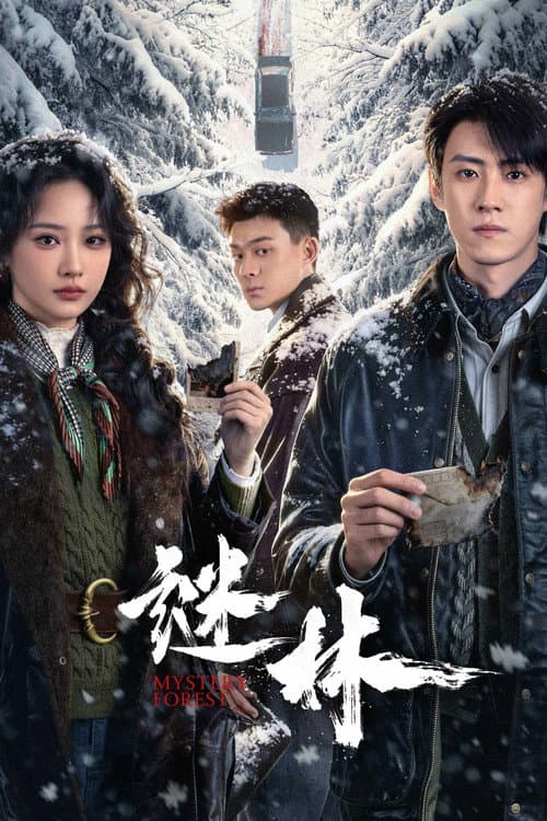Постер: 谜林