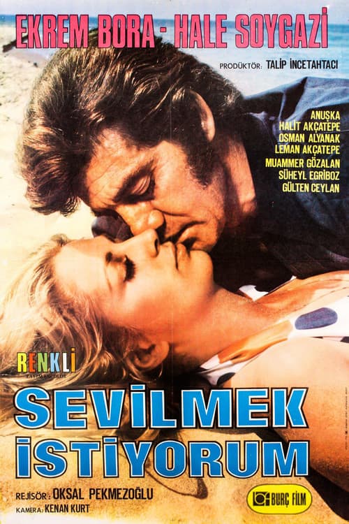 Постер: Sevilmek İstiyorum