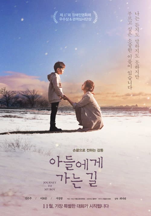 Постер: 아들에게 가는 길
