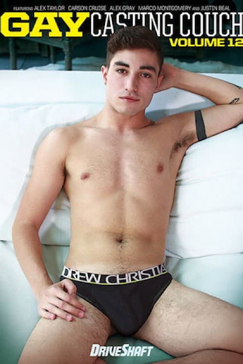 Постер: Gay Casting Couch 12