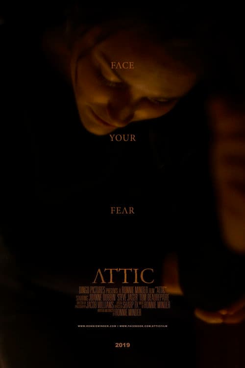 Постер: Attic