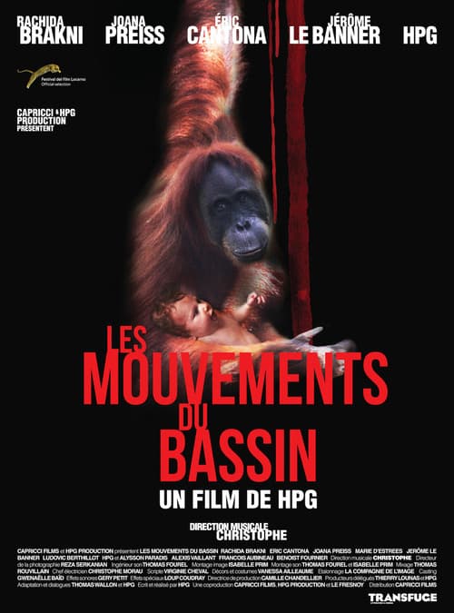 Постер: Les Mouvements du bassin