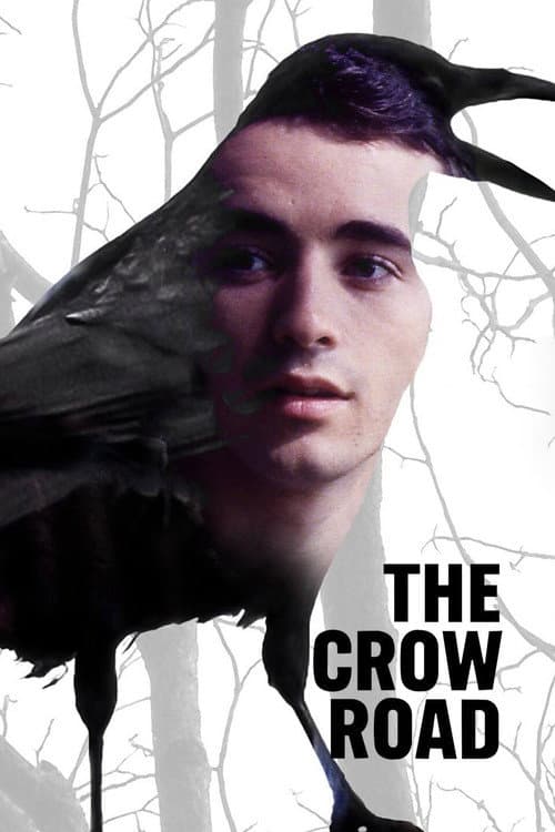 Постер: The Crow Road