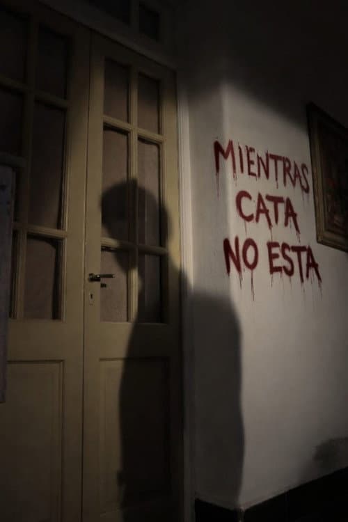 Постер: Mientras Cata no está