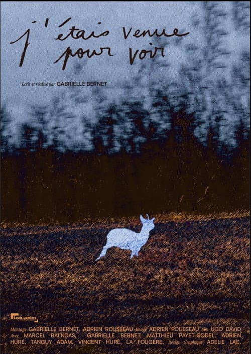 Постер: J'étais venue pour voir