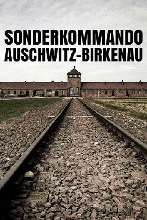 Постер: Sonderkommando Auschwitz-Birkenau