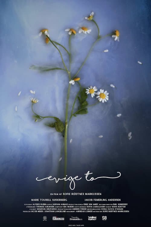 Постер: Evige To