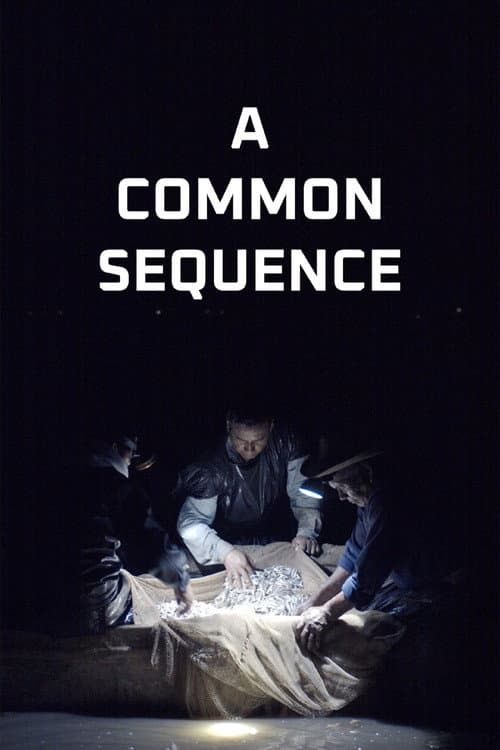 Постер: A Common Sequence