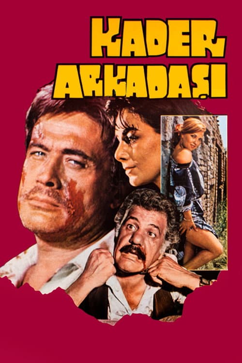 Постер: Kader Arkadaşı