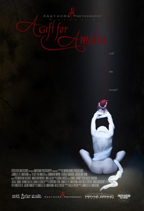 Постер: A Gift for Amelia
