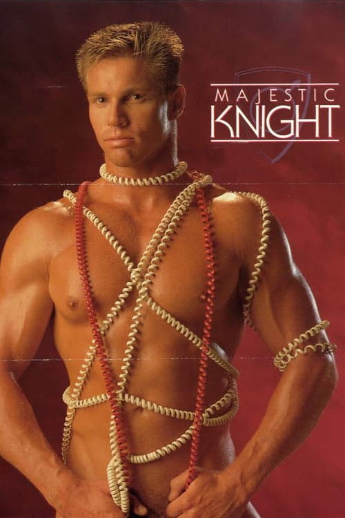 Постер: Majestic Knights