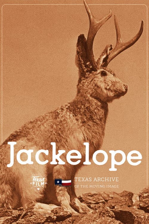Постер: Jackelope