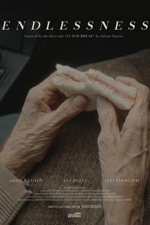 Постер: Endlessness