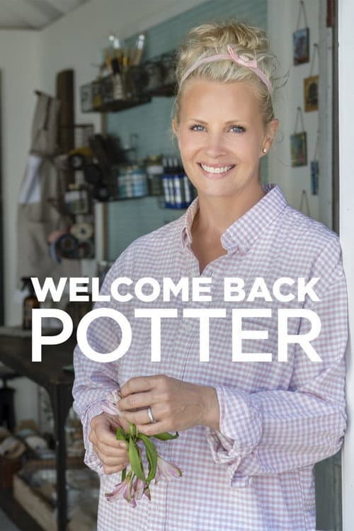 Постер: Welcome Back Potter