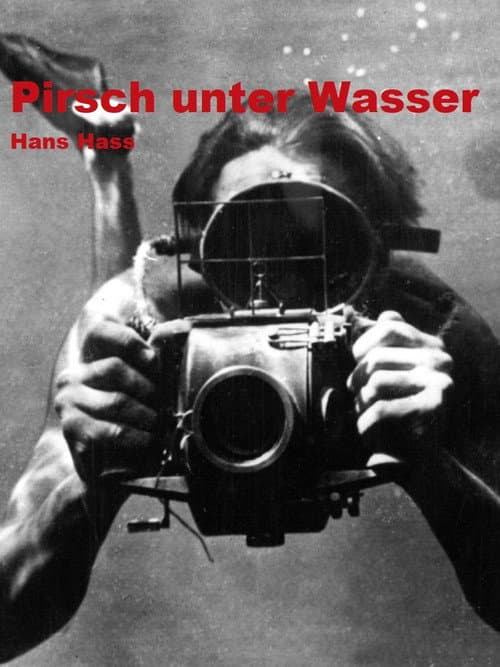 Постер: Pirsch unter Wasser