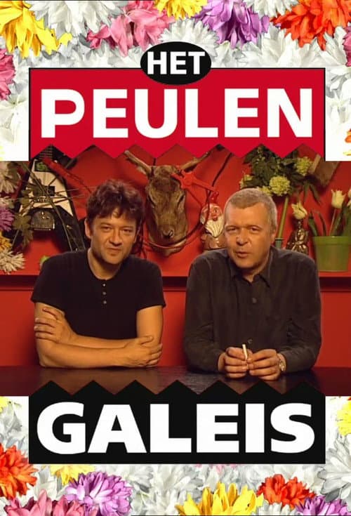 Постер: Het Peulengaleis