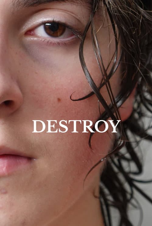 Постер: Destroy