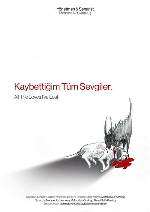 Постер: Kaybettiğim Tüm Sevgiler