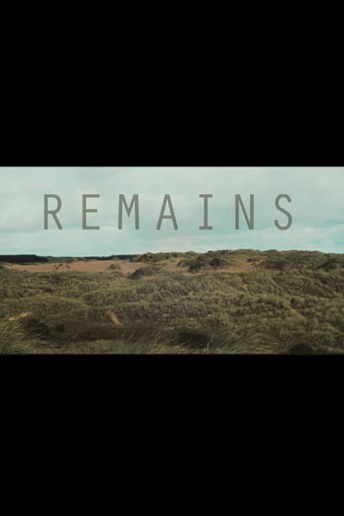 Постер: Remains