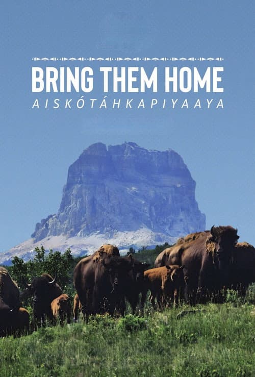 Постер: Aiskótáhkapiyaaya
