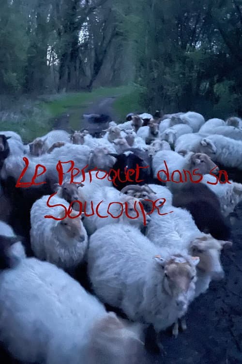 Постер: Le Perroquet dans sa Soucoupe (Short Version)
