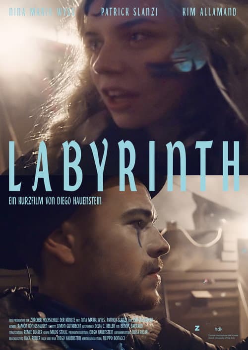 Постер: Labyrinth