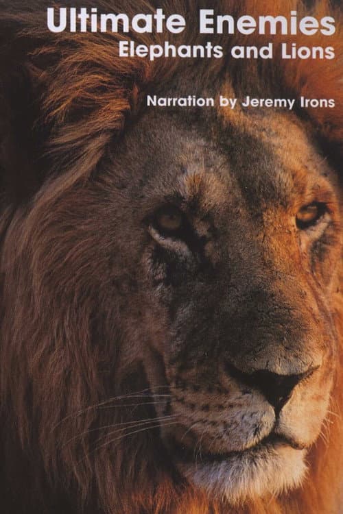 Постер: Ultimate Enemies: Elephants and Lions