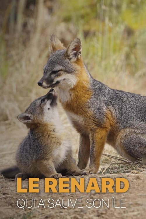 Постер: Le renard qui a sauvé son île