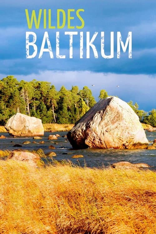 Постер: Wildes Baltikum