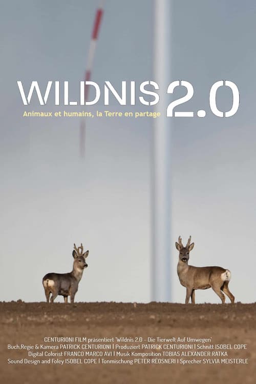 Постер: Wildnis 2.0 - Die Tierwelt auf Umwegen