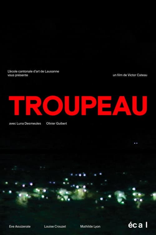 Постер: Troupeau