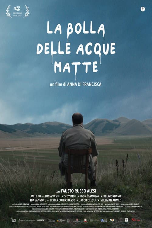 Постер: La bolla delle acque matte