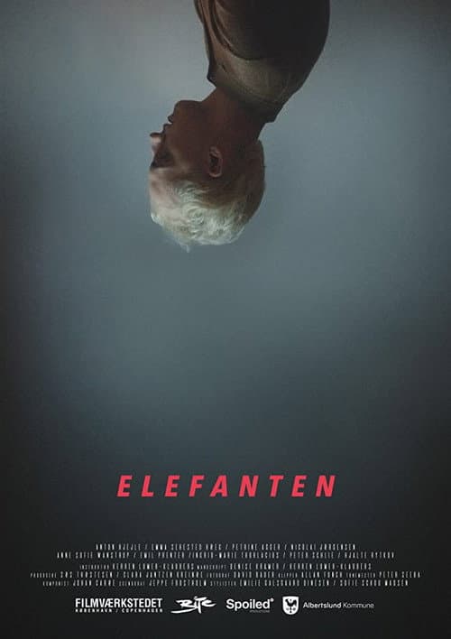 Постер: Elefanten