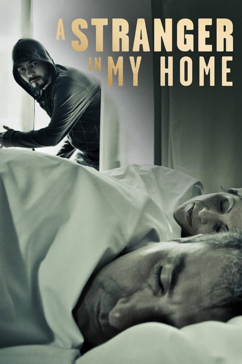 Постер: A Stranger in My Home
