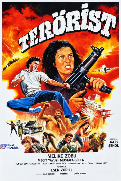 Постер: Terörist