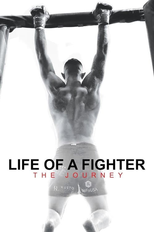 Постер: Life of a Fighter: The Journey