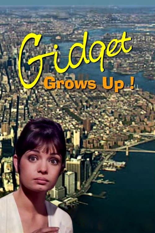 Постер: Gidget Grows Up