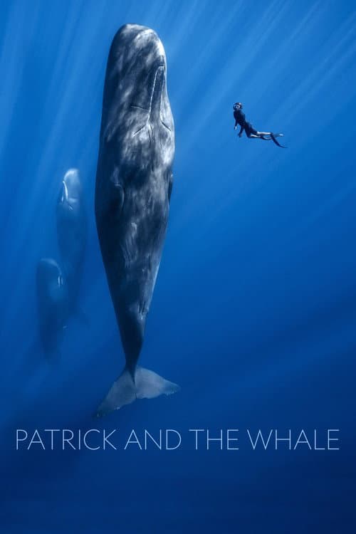 Постер: Patrick and the Whale