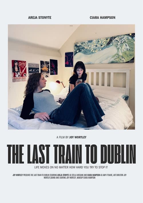 Постер: The Last Train to Dublin