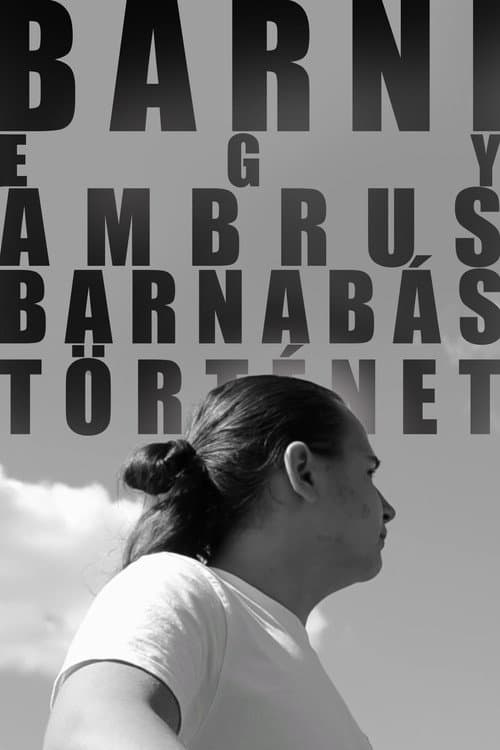 Постер: BARNI: Egy Ambrus Barnabás-történet