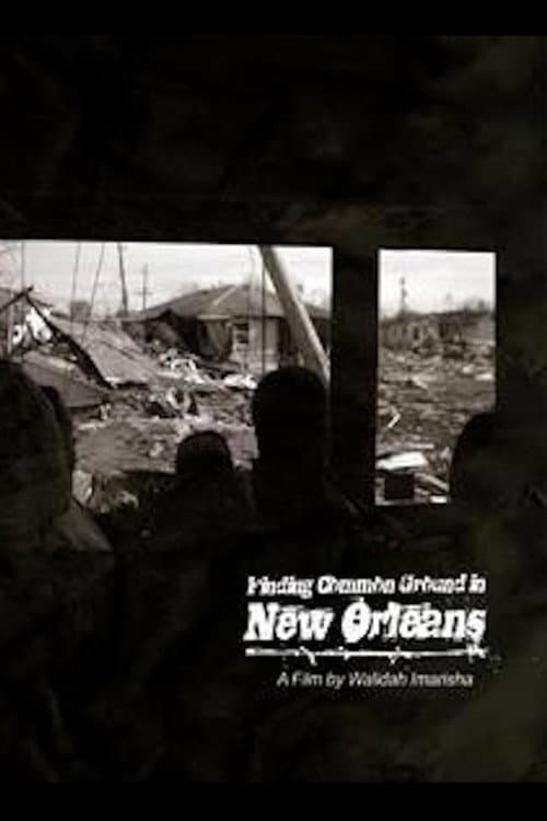 Постер: Finding Common Ground in New Orleans