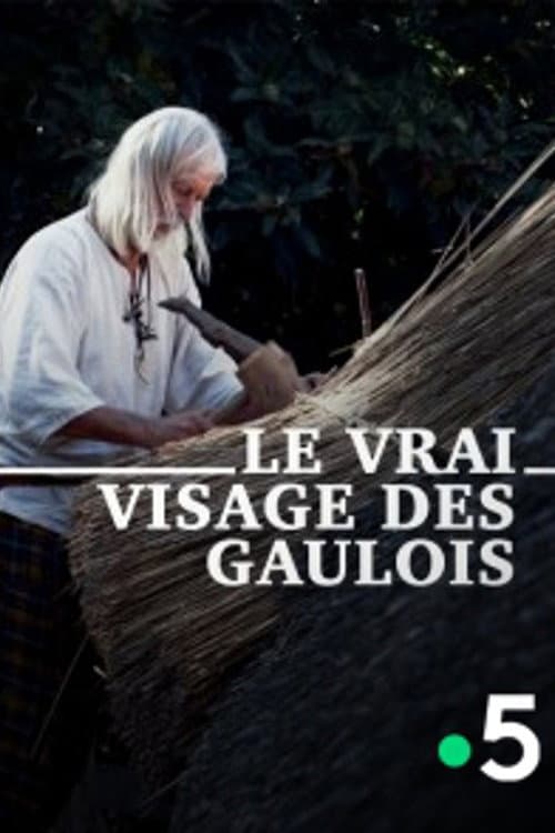 Постер: Le Vrai Visage des Gaulois