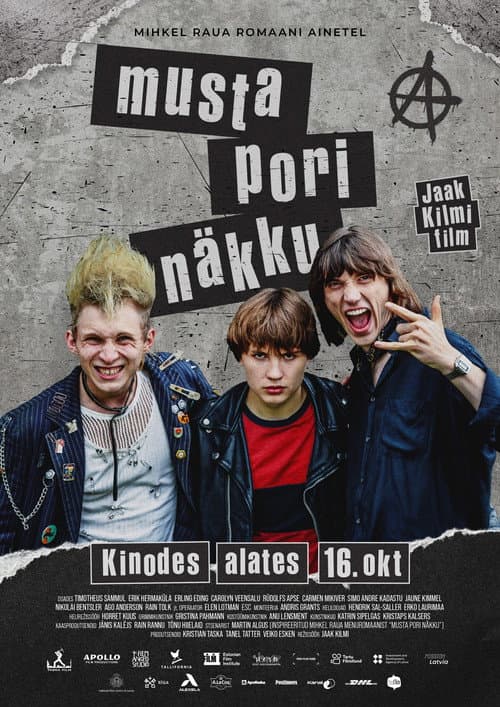 Постер: Musta pori näkku