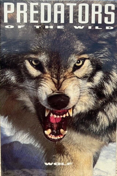 Постер: Predators of the Wild: Wolf