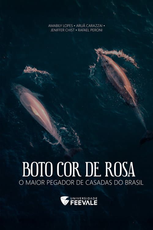 Постер: Boto Cor de Rosa - O Maior Pegador de Casadas do Brasil
