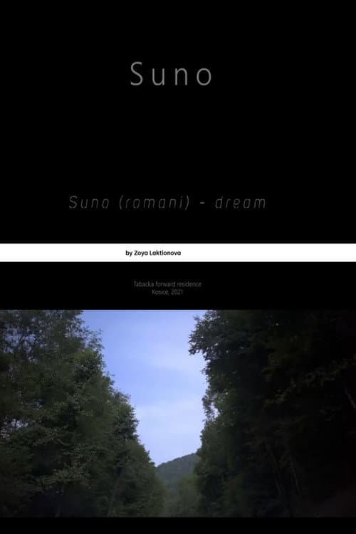 Постер: Suno